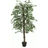 Image de Plante Artificielle - Feuillage en Éventail 160 cm