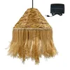Image de Suspension solaire LEONORA SOLAR en jacinthe d'eau avec câble hybride secteur et solaire 5m de longueur