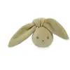 Image de Balle hochet lapin Vert