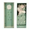 Image de Doudou chien carré douceur vert