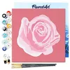 Image de Figured'Art Mini Peinture par Numéro Adulte 20x20cm avec cadre Corolle de Rose 2 - Petit Format Kit de Loisir Créatif DIY Numéro d'Art Complet