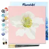 Image de Figured'Art Mini Peinture par Numéro Adulte 20x20cm avec cadre Fleur d'Eglantier - Petit Format Kit de Loisir Créatif DIY Numéro d'Art Complet