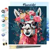 Image de Figured'Art Mini Peinture par Numéro Adulte 20x20cm avec cadre Lama Fantaisie et Fleurs - Petit Format Kit de Loisir Créatif DIY Numéro d'Art Complet