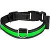 Image de EYENIMAL Collier Lumineux Rechargeable USB pour Chien Vert 40 - 45 cm Taille S