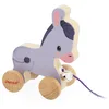 Image de Janod - Ane à Promener en Bois avec Clochette - Jouet d'Eveil à Tirer et Pousser - Apprentissage Motricité et Imagination - Ficelle 50cm adaptée aux Petites Mains - Certifié FSC - Dès 12 Mois, J03323