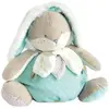 Image de Doudou et Compagnie - Peluche Range-Pyjama Enfant - Lapin - 38 cm - Vert Amande - Lapin de Sucre - DC3496