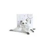 Image de DOUDOU ET COMPAGNIE - Doudou Panda Plat Attrape-Rêves - Panda Gris - 20 cm - Boîte Cadeau - Doux et Réconfortant - Idée Cadeau Naissance Filles et Garçons - Garantie Doudou Perdu - DC3536