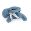 Image de DOUDOU ET COMPAGNIE - Lapin Doudou Bleu 29 cm avec Foulard en Lin Imprimé   Peluche Bébé Ultra Douce dès la Naissance   Doudou Mixte Boîte Cadeau pour Offrir   Garantie Doudou Perdu - DC4141