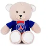 Image de PSG - Peluche Mascotte Ours - 23 cm - Licence Officielle Paris Saint-Germain - Maillot Amovible Paris avec Bandes Hechter - Ours Peluche très Doux - Souvenir PSG pour Enfants & Fan Foot - DC4268