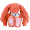 Image de Peluche lapin fleurette Orange