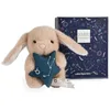 Image de Doudou Astro - Taureau