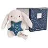 Image de Doudou Astro - Lion