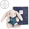 Image de Peluche Astro Lion