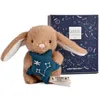 Image de Doudou Astro - Poissons