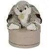 Image de Zanimoos peluche Marius