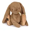 Image de HISTOIRE D'OURS - Grande Peluche Lapin - Collection LE LAPIN - Couleur Noisette - Compagnon Douceur et Câlins Infinis - 50 cm - Idée Cadeau Inoubliable Pour Petits et Grands Enfants - HO3249