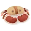 Image de Histoire D’Ours - Peluche Crabe - TRESORS Marins   Jouet Éveil Original dès la Naissance   Doudou Tactile avec Pinces Douces   Peluche Déco Thème Océan pour Bébé