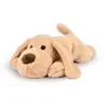 Image de Peluche Chien Les allonges Stretch Beige