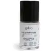 Image de Galeo - Huile parfumée eucalyptus Diffuseurs et parfums d'intérieur 15 ml unisex