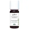 Image de Galeo - HUILE ESSENTIELLE BIOLOGIQUE EUCALYPTUS RADIATA Huiles de massage et huiles essentielles 10 ml unisex