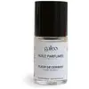 Image de Galeo - Huile parfumée fleur de cerisier Diffuseurs et parfums d'intérieur 15 ml unisex