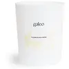 Image de Galeo - Bougie naturelle fleurs de Polynésie Bougies 180 g unisex