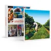 Image de SMARTBOX - coffret cadeau couple - À la découverte de nos vignobles - idée cadeau originale - 1 visite de vignoble avec dégustation de vin pour 1 ou 2 personnes