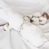 Image de Drap housse en coton bio Blanc