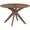 Image de CONCEPT1 Xylo placage noyer D120 x 75 cm XYLO-TRD120W