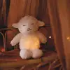 Image de Veilleuse Wooly