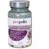 Image de PROPOLIA - Gélules Confort Articulaire - Propolis Harpagophytum - 90 gél.