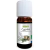 Image de Huile essentielle de Cyprès Bio - Cupressus sempervirens Oil - 10ml- PROPOS'NATURE