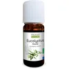 Image de Huile essentielle d'Eucalyptus radié Bio - Eucalyptus radiata leaf oil - 100% pure et naturelle - 10ml - PROPOS'NATURE