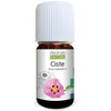 Image de Huile essentielle de Ciste Bio - Cistus ladaniferus leaf/stem oil - 5ml - PROPOS'NATURE