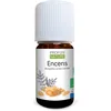 Image de Huile essentielles d'Encens Bio - Boswellia carterii oil - 5ml - PROPOS'NATURE