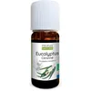 Image de Huile essentielle d'Eucalyptus citronné Bio - Eucalyptus citriodora leaf oil - 100% pure et naturelle - 10ml - PROPOS'NATURE