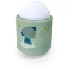 Image de Veilleuse Nomade Rechargeable Vert Sauge