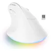 Image de Bluestork - Souris sans Fil Ergonomique, Connexion 2.4 Ghz + Bluetooth, 800-2400 DPI, 6 Boutons, LED RGB - Souris Ergonomique Verticale, Prévention des douleurs- PC, Mac, IPAD, Tablette - Droitiers