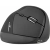 Image de Office Mouse Ergonomic 3200DPI- 2,4G+ BT - Rechargeable - Black