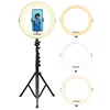 Image de AGFAPHOTO Ring Light Realiview ARL11XL Eclairage annulaire LED avec trépied - Lumière pour Téléphone Portable, Photos, Selfies, vidéos, Youtube, Maquillage, TikTok