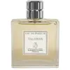 Image de Element Terre - Talisman Eau de parfum 100 ml male