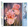 Image de Figured'Art Peinture par Numéro Adulte Iris rosé - Activité Manuelle Kit de Loisir Créatif DIY Numéro d'Art Complet - 40x50cm sans châssis en bois