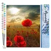 Image de Figured'Art Peinture par Numéro Adulte Fleurs sous le Soleil - Activité Manuelle Kit de Loisir Créatif DIY Numéro d'Art Complet - 40x50cm sans châssis en bois