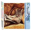 Image de Figured'Art Peinture par Numéro Adulte Chat Connaisseur - Activité Manuelle Kit de Loisir Créatif DIY Numéro d'Art Complet - 40x50cm sans châssis en bois
