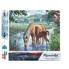 Image de Figured’Art Diamond Painting Broderie Diamant 40x50cm Toile Entière Roulée avec Strass Perles Carrés - Chevaux et Ruisseau - Kit Complet Cheval 5D DIY Activité Manuelle Loisirs Créatifs Adultes