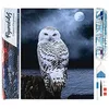 Image de Figured’Art Diamond Painting Broderie Diamant 40x50cm Toile Entière Roulée avec Strass Perles Carrés - Chouette Blanche - Kit Complet Animaux 5D DIY Activité Manuelle Loisirs Créatifs Adultes