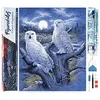 Image de Figured’Art Diamond Painting Broderie Diamant 40x50cm Toile Entière Roulée avec Strass Perles Carrés - Chouettes et Lune - Kit Complet Animaux 5D DIY Activité Manuelle Loisirs Créatifs Adultes