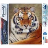 Image de Figured’Art Diamond Painting Broderie Diamant 40x50cm Toile Entière Roulée avec Strass Perles Carrés - Regard de Tigre - Kit Complet Animaux 5D DIY Activité Manuelle Loisirs Créatifs Adultes