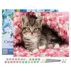 Image de Figured'Art Peinture par Numéro Adulte avec Cadre Chaton enrobé - Activité Manuelle Kit de Loisir Créatif DIY Numéro d'Art Complet - 40x50cm toile tendue sur châssis