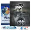 Image de Figured’Art Diamond Painting Broderie Diamant 40x50cm Avec Cadre Toile Tendue Strass Perles Carrés - Chien et Reflet de Loup - Kit Complet Animaux 5D DIY Activité Manuelle Loisirs Créatifs Adultes